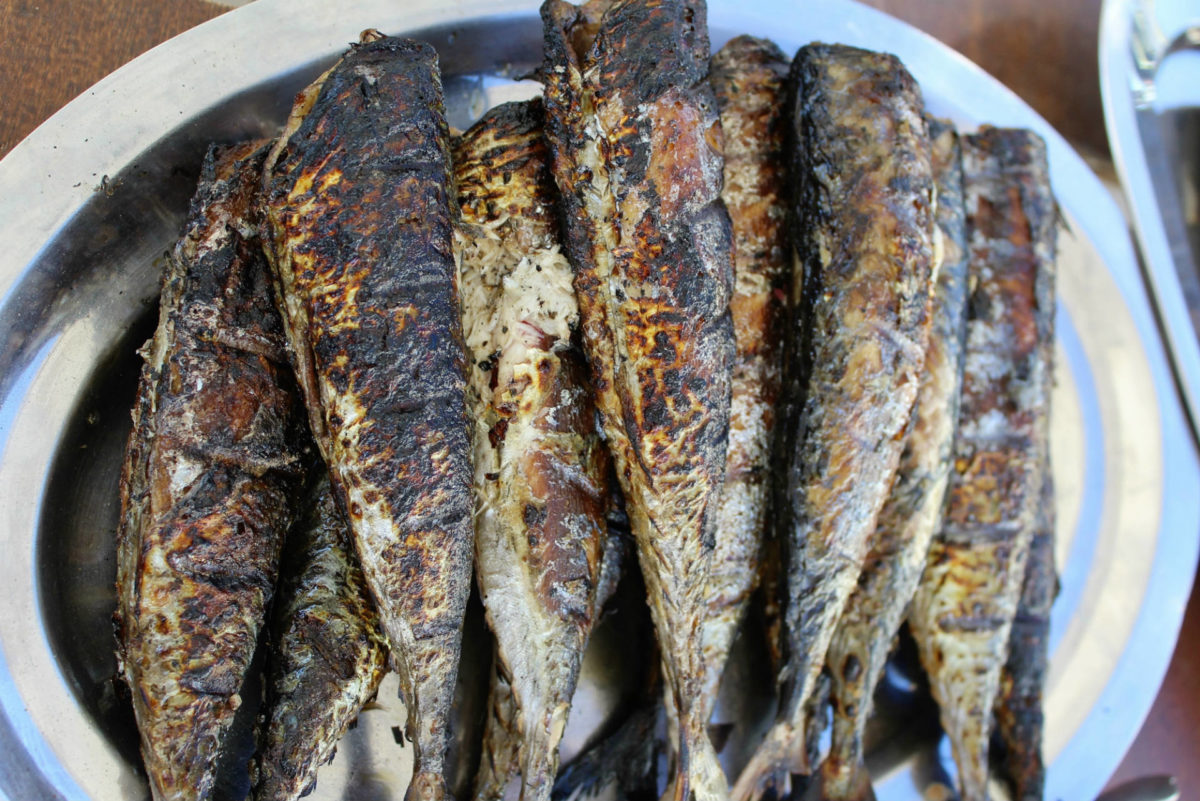 Platter of grilled mackerel - Trouville mackerel