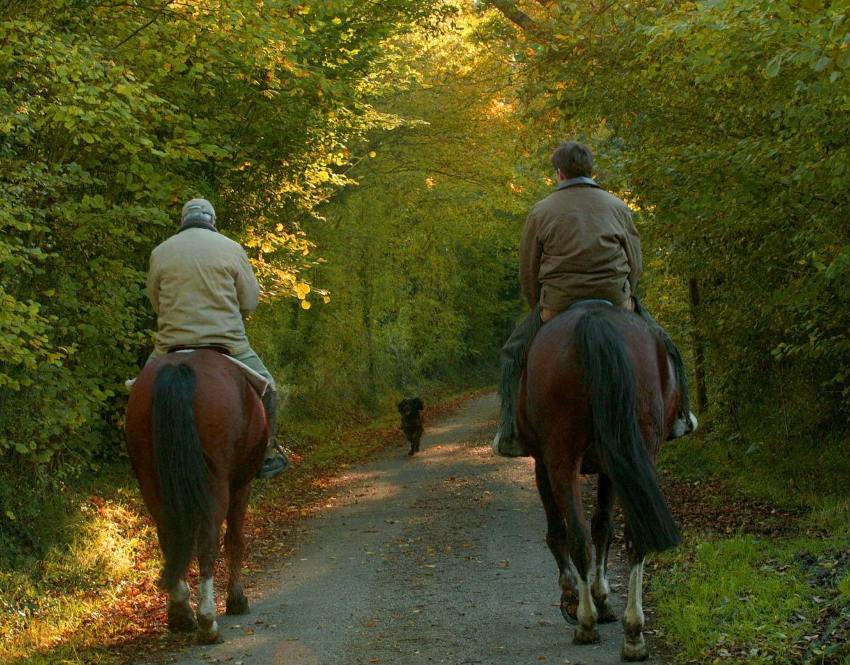 Horseback riding in Calvados