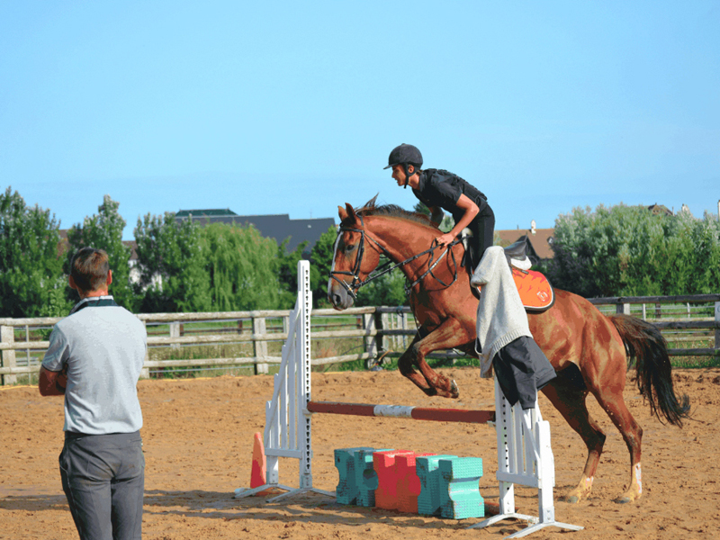 Horse-riding-course-Blonville-800×600-2