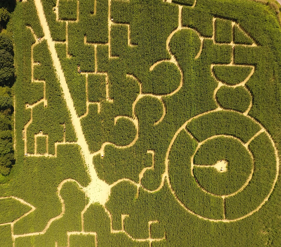 ZOOM-aerial-view-labyrinth